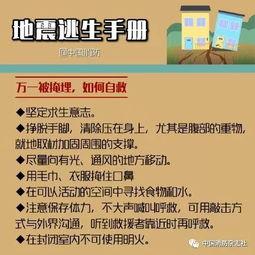 临沂地震最新爆料信息网,揭秘震源及影响动态